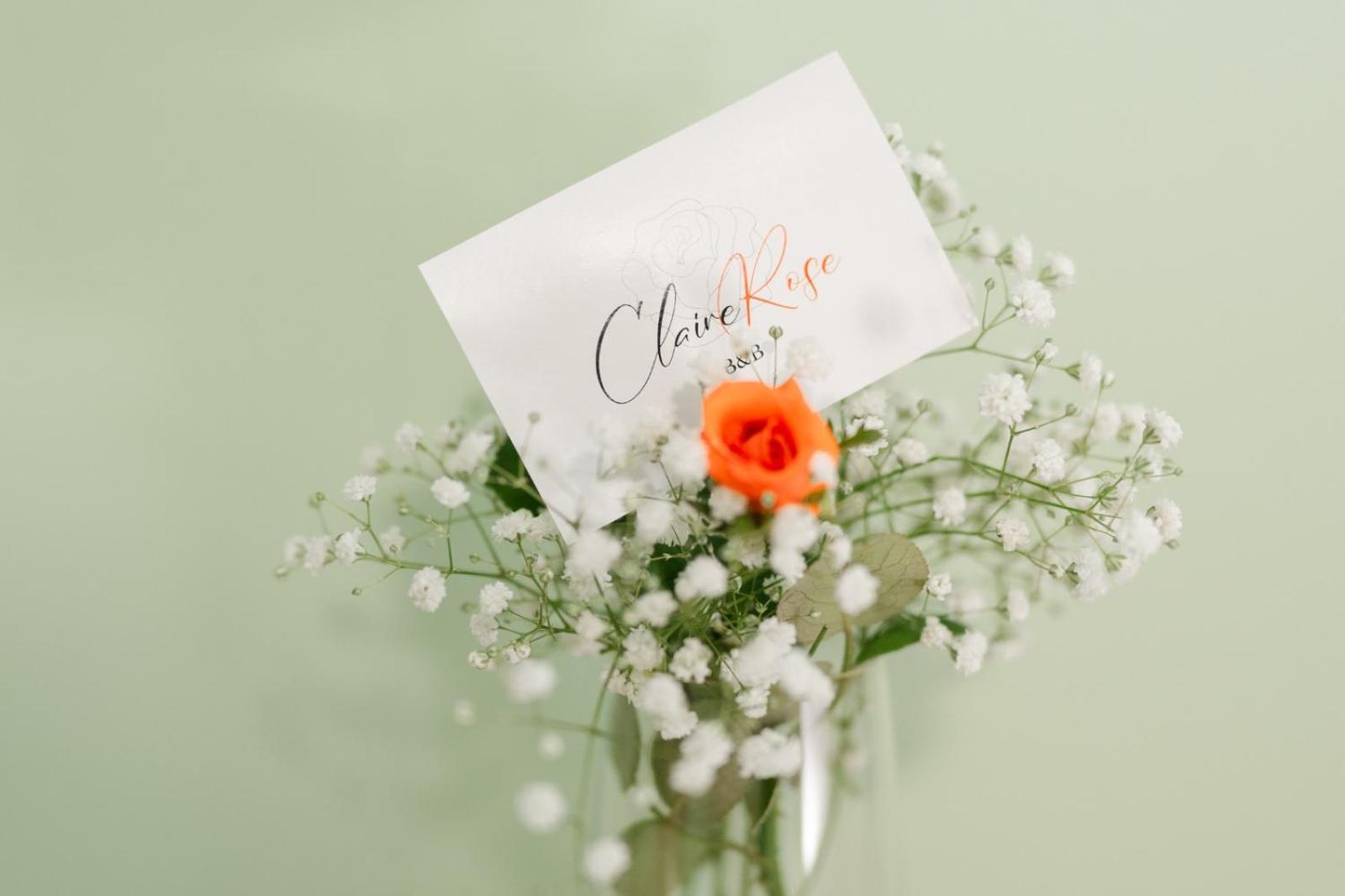 Claire Rose B&B 马泰拉 外观 照片