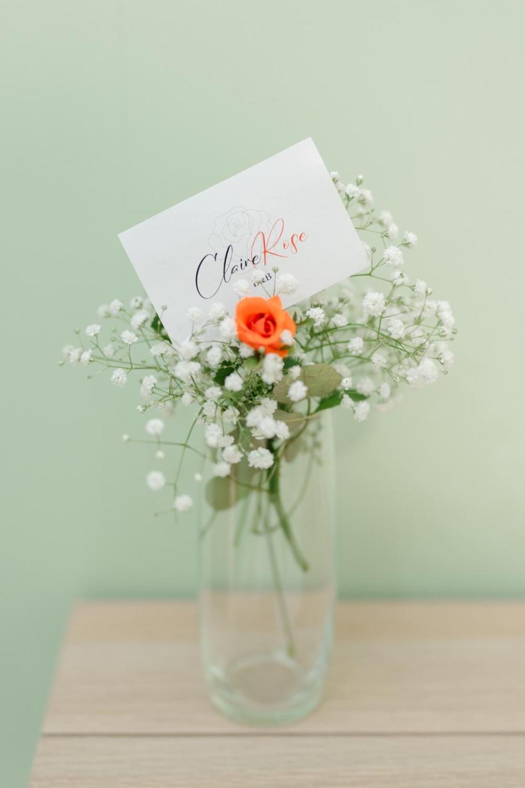 Claire Rose B&B 马泰拉 外观 照片